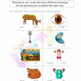 Homonyms-Worksheets-Grade-2-Activity-1