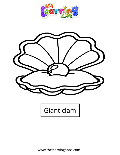 Giant clam