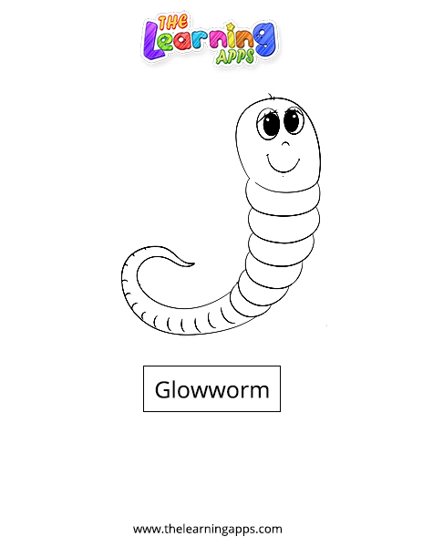 Glowworm