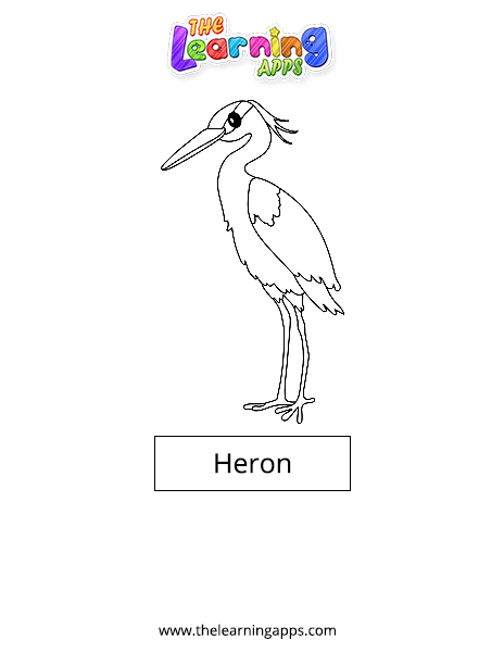 Heron