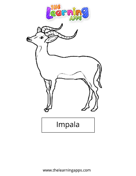 Impala