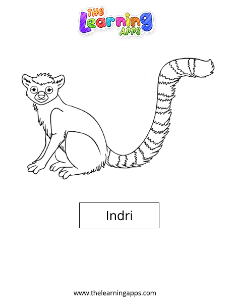 Indri