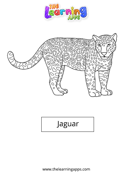 Jaguar