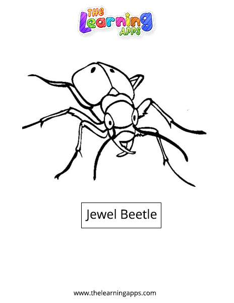 Jewel Beetle