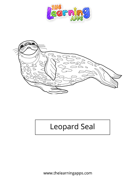 Leopard Seal