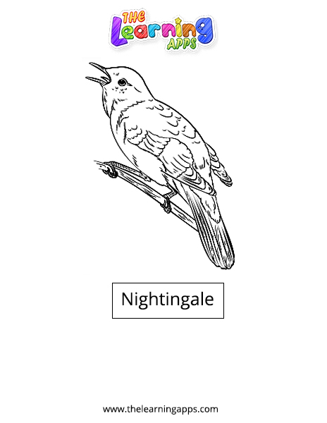 Nightingale