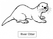 River Otter