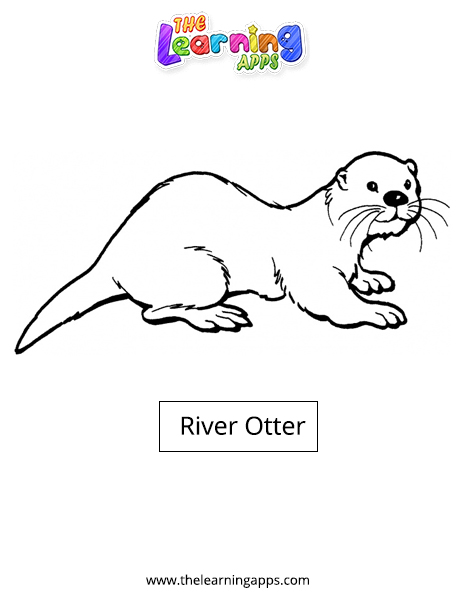 River Otter