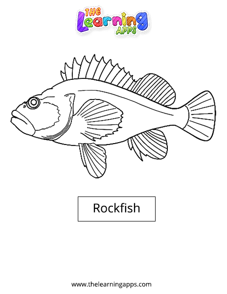 Rockfish