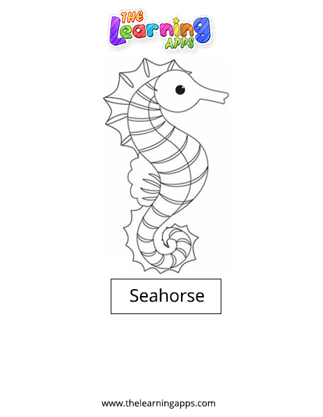 Seahorse