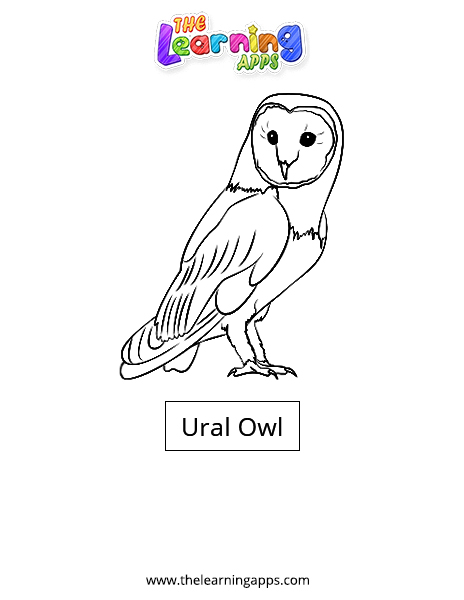 Ural owl