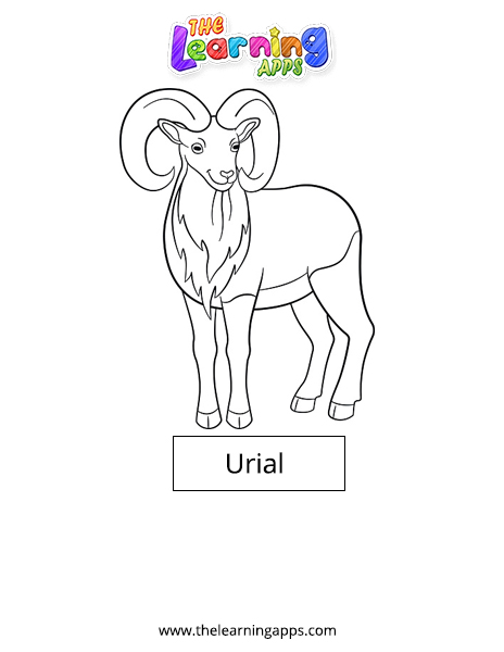 Urial