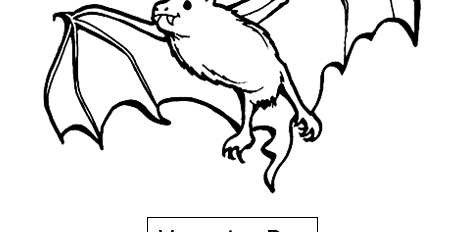 Vampire Bat