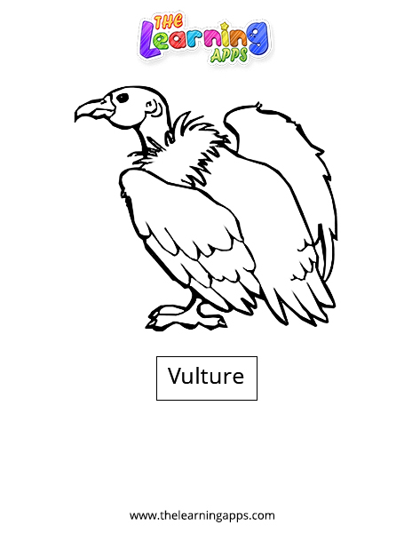 Vulture