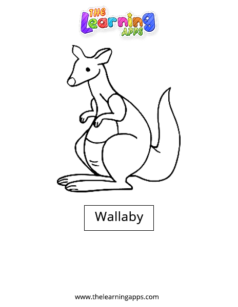 Wallaby