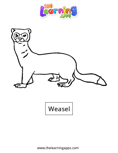 Weasel