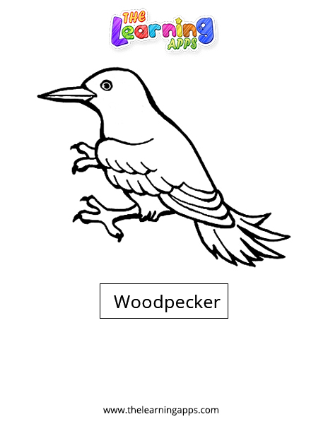 Woodpecker