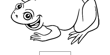 Xenopus