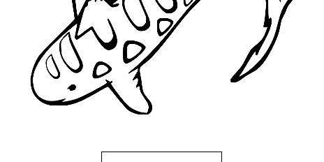 Zebra Shark
