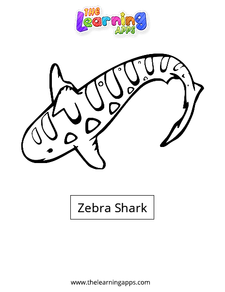 Zebra Shark