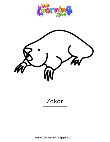 Zokor