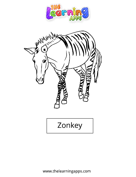 Zonkey