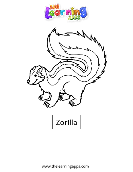 Zorilla