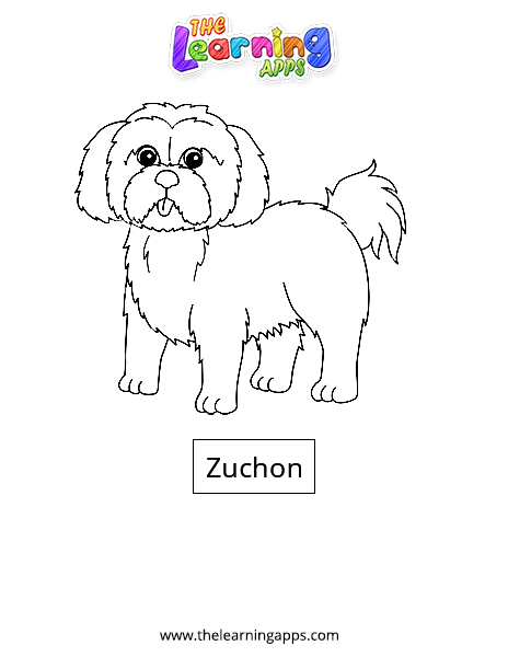 Zuchon