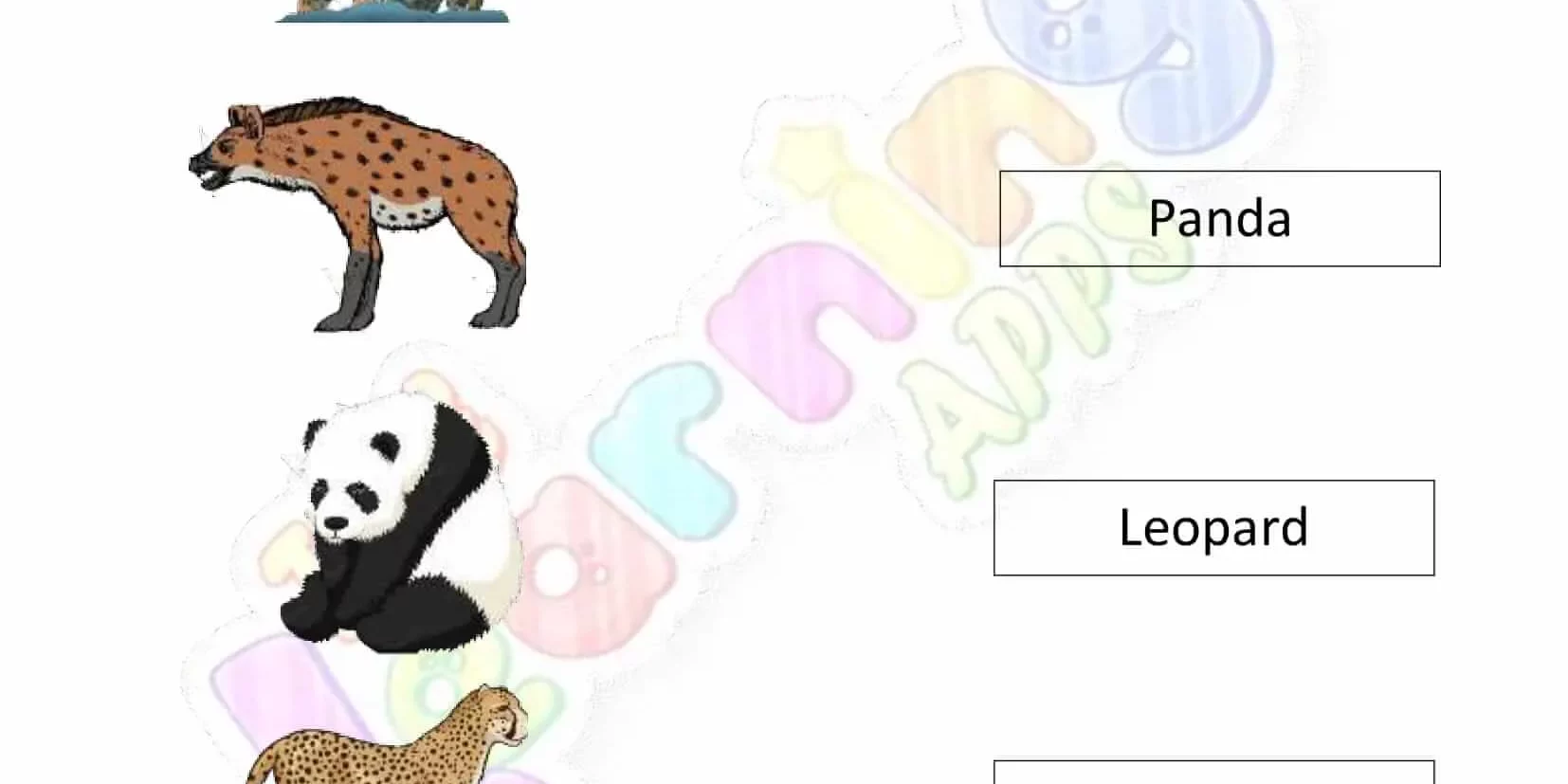 Carnivores-Worksheets-Grade-3-Activity-1 Carnivores-Worksheets-Grade-3-Activity-1