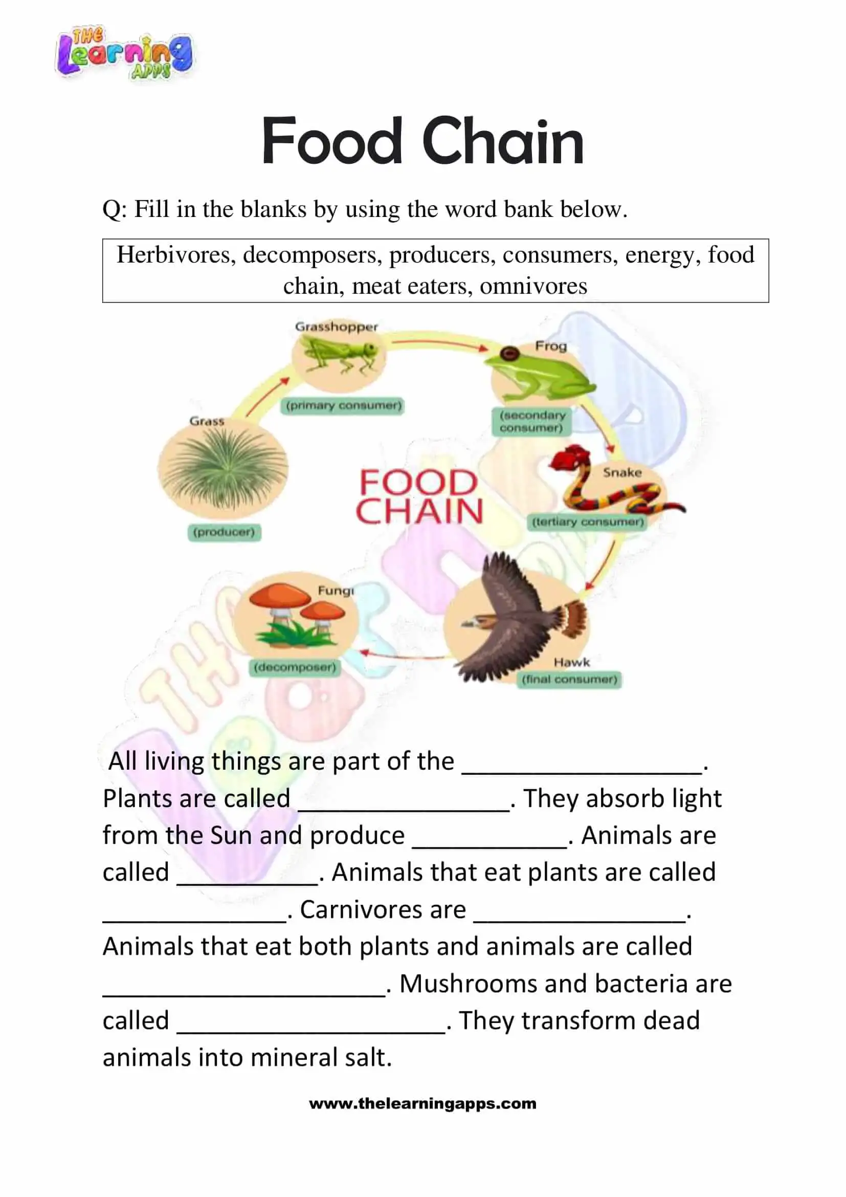 Download Free Printable Food Chain Worksheets for Grade 3