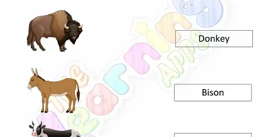 Herbivores-Worksheets-Grade-3-Activity-1 Herbivores-Worksheets-Grade-3-Activity-1