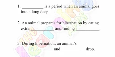 Hibernation-Worksheets-for-Grade-3-Activity-1