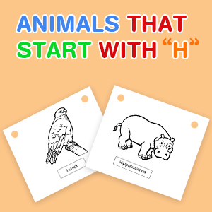 animals-that-start-with-h