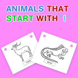 animals-that-start-with-i