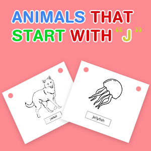 animals-that-start-with-j