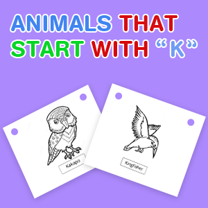 animals-that-start-with-k