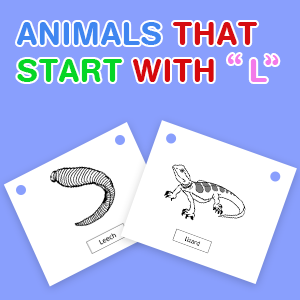 animals-that-start-with-l