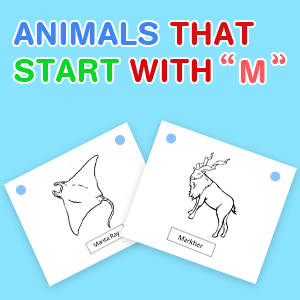 animals-that-start-with-m
