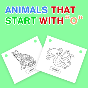 animals-that-start-with-o