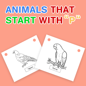 animals-that-start-with-p