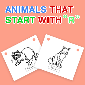 animals-that-start-with-r