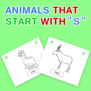 animals-that-start-with-s