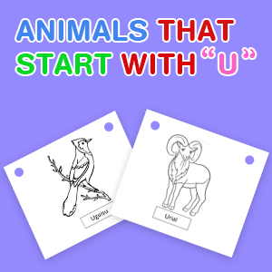 animals-that-start-with-u