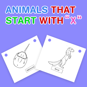 animals-that-start-with-x