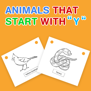 animals-that-start-with-y