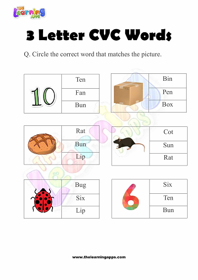 3-Letter-CVC-Words-Worksheets-for-Preschool-Activity-5