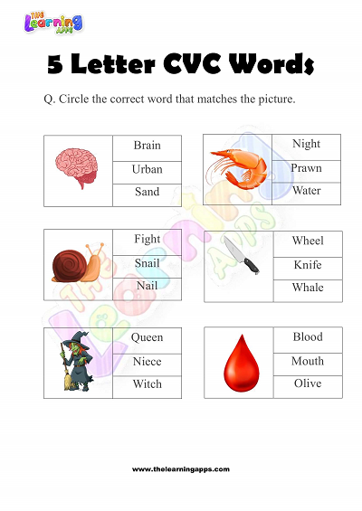 5-Letter-CVC-Words-Worksheets-for-Kindergarten-Activity-10