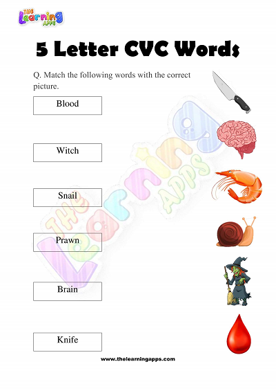 5-Letter-CVC-Words-Worksheets-for-Kindergarten-Activity-6