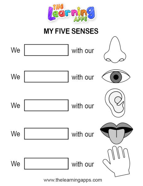 5 senses 01