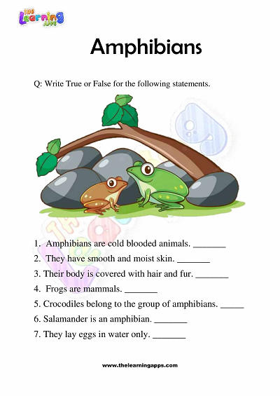 Download Free Printable Amphibians Worksheets for Grade 3